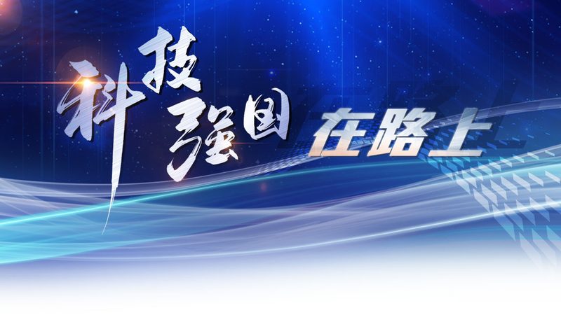 数据仓库分层设计：构建高效数据处理的基石**